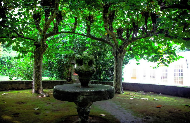 Quinta da Nasce Água - Photo 54