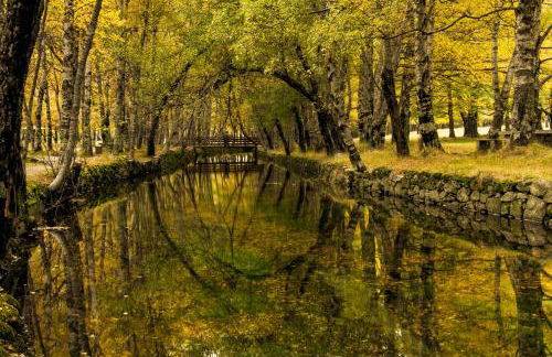 Mountain Lodge T3 Duplex Abrigo do Lobo - Foto 78