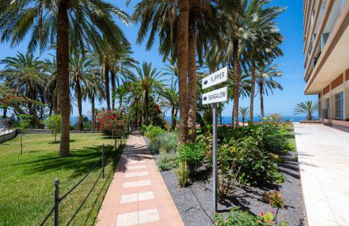 Seagulls melody C-209 - Foto 21