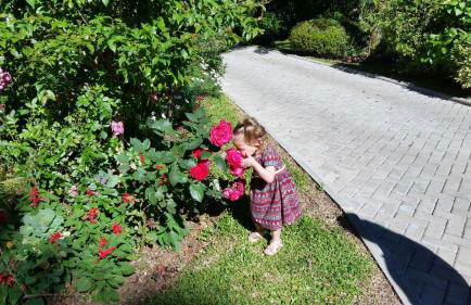 Casa Goldoni Gramado - Photo 10