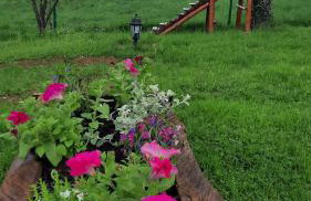 Domki pod Lipą. - Foto 48