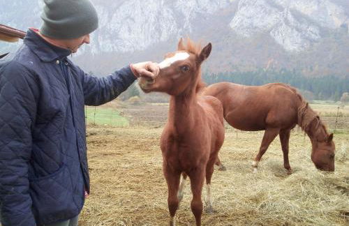 AGRITURISMO MASO PERTENER -adults friendly- - Foto 71