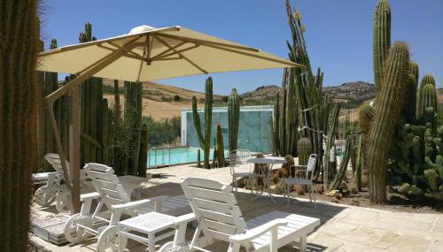 Garden Cactus - Foto 4, Garden view