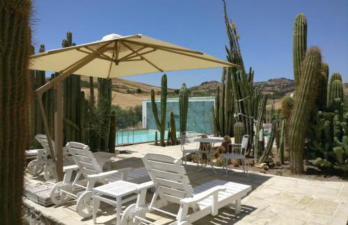 Garden Cactus - Foto 4