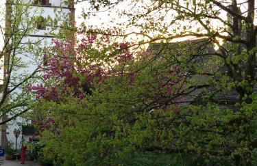 Appartment Entegast - Edles Landhausflair zum Geniessen - Foto 6