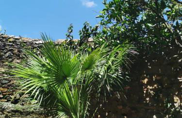 Monolocale con veranda e giardino a Rio Marina - Foto 22