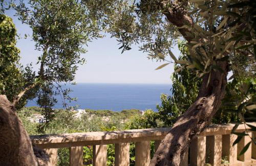 Villa Le Terrazze plus Pool - Foto 34