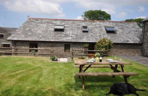 Fentrigan Manor Farm & Holiday Cottages - Foto 31