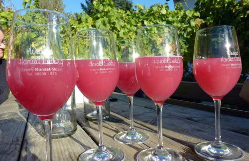 Weingut Harald Ludwig - Foto 47