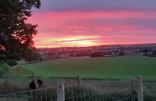 Lily Rose Cottage - Foto 21