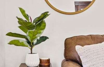 Historic Hideaway Hot Springs - Photo 45