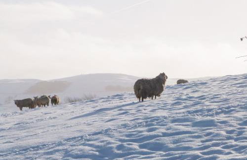 Ermysted's Cottage - Foto 19