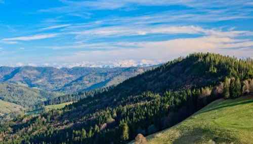 Fidelis-Bühl Muggenbrunn - Foto 2