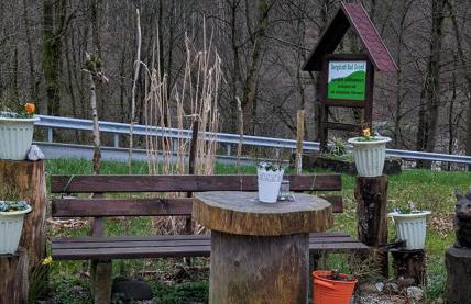 Haus Westharz Hahnenklee - Foto 19