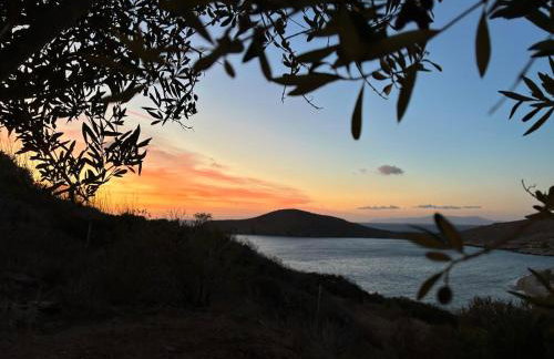 Delfini Suites - Foto 1