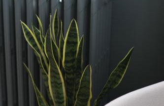 Winter Sports Events 2026 - Prestige Main Apartment - Just 30 Seconds Walk to Bernina Express - Foto 21