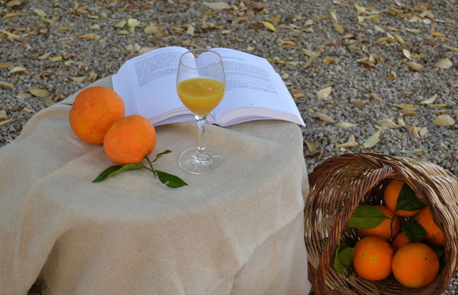 Son Sant Andreu - Foto 75