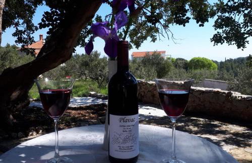 Studio Apartment Mileta - Photo 36