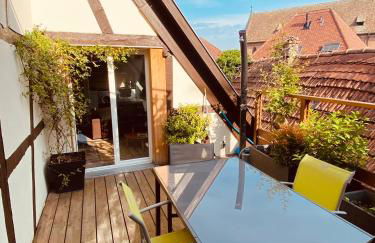 Joli 2 pièces, avec climatisation et grande terrasse, vue sur les toits, zone piétonne - Photo 2