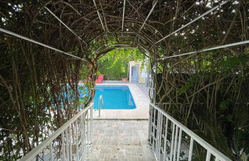 Villa GAN EDEN - Foto 10