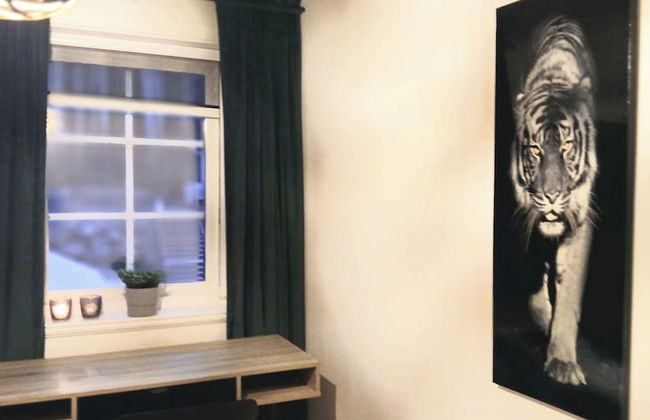 Stunning Sleeps 9 Lakeview Loghome, Spa & Yoga - Foto 29