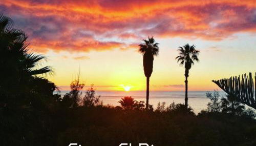 Apartments Finca El Rincón - Foto 2, Garden