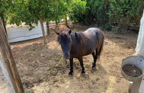 La Casa de Marieta "A" - Foto 33