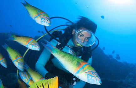 Myrtus - House with sea view and garden - Foto 22