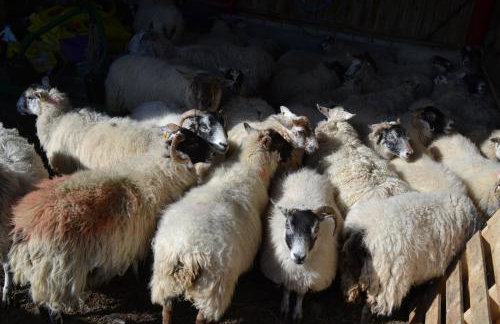 Oban Seil Farm - Photo 42