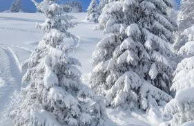 Appartamento a Monclassico - Photo 22