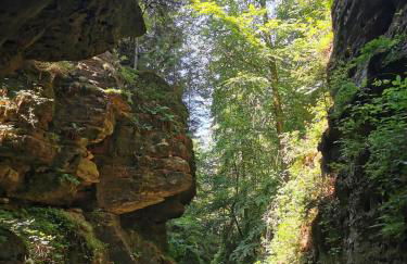 Villa Belvedere - Foto 65