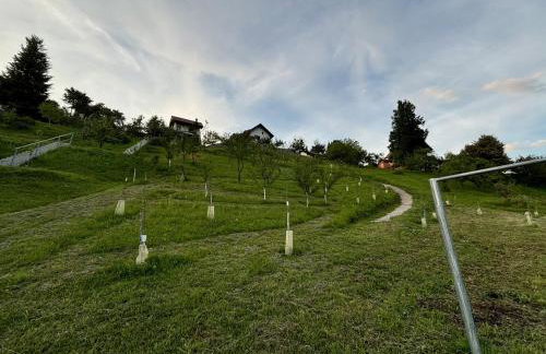 Villa Canolle - Photo 46