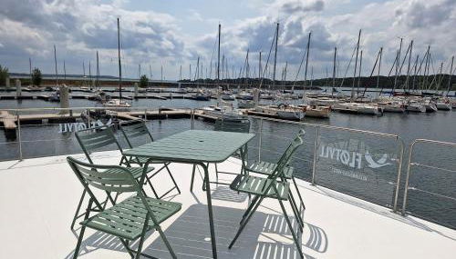 Bateau panoramique sans permis Lac du Der - Eclaron - Foto 4