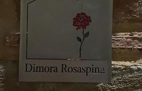 Dimora Rosaspina - Foto 47
