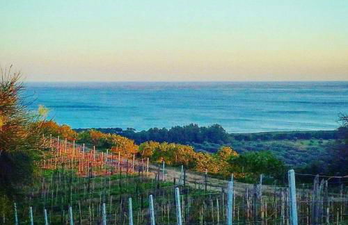 Borgo Piazza Apartments - Photo 55