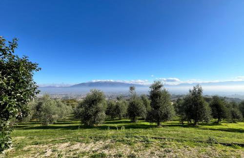 Agriboutique L'Uliveto Magico - Foto 18