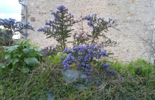 maison bord de mer individuel - Foto 27
