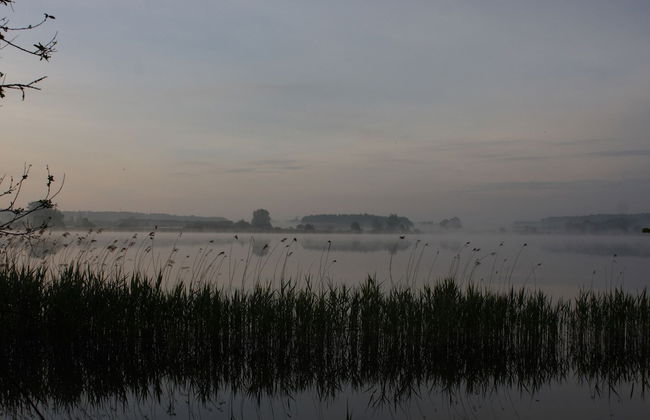 Terraced House, Lohmen - Foto 28