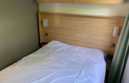 Le parc des roselieres 40 Saint Hilaire de Riez - Foto 13