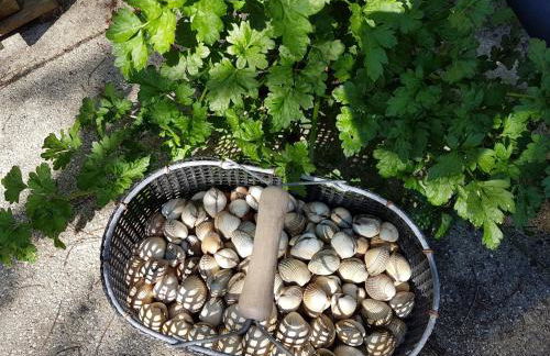 Les Gravelots - Foto 22