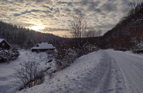 Nad Mikowym Potokiem - wydzielona część drewnianego domu z osobnym wejściem i ogrodem - Foto 22