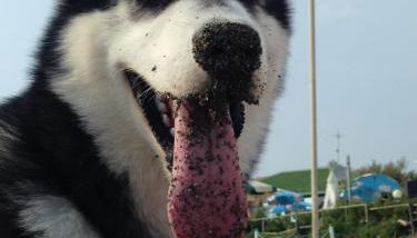 Arcobaleno Toscano - Foto 4