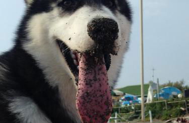Arcobaleno Toscano - Foto 4