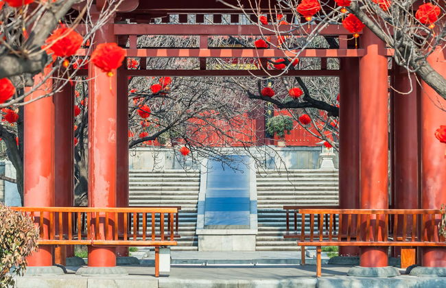 Private Guided Tour of Xi'an - Photo 1