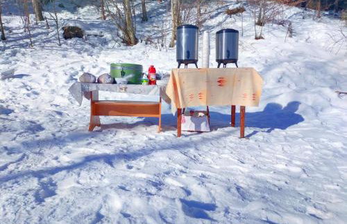 Domek w górach, noclegi w górach , Przystanek Stodoła , nocleg Beskidy , Velo Soła, balia ogrodowa, Rajcza, Rycerka - Foto 37