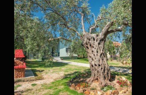 Villa Elia - Foto 54