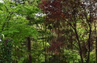 casa belvedere - Foto 18