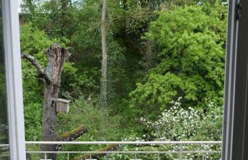 Ruhige 4-Zi-Wohnung mit großem Balkon und Blick ins Grüne - Foto 21