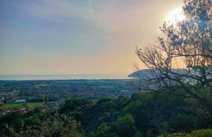 Luxury Apartment - Photo 32