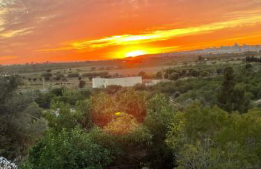 Luxury 2 Bedroom Villa on Quinta da Saudade - Foto 41